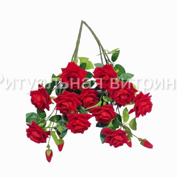 Купить цветы траурные ЦУ-1 Ветка розы бархатной острой 70 см/8 г